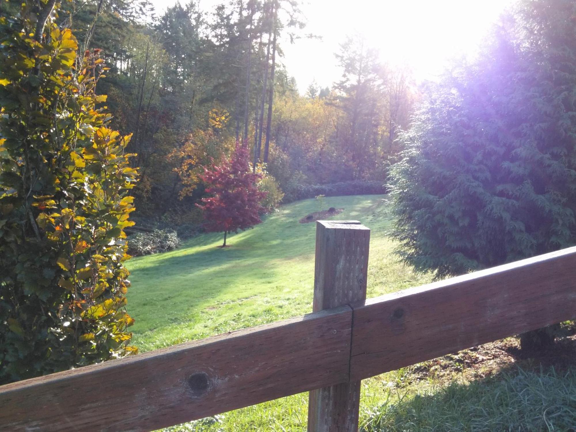Vancouver Wa Beautiful Apartment Woodland Luaran gambar